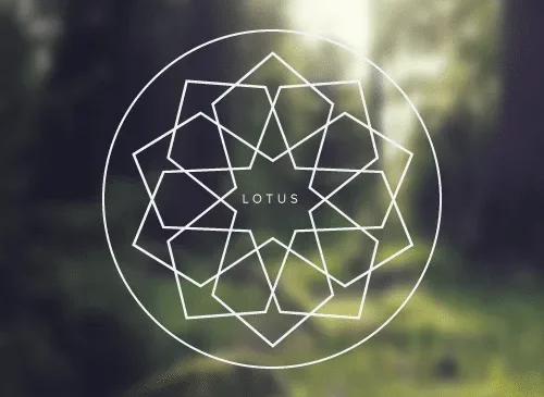 Pune Based Instrumental Band 'Lotus' Releases Third Single From Upcoming EP
