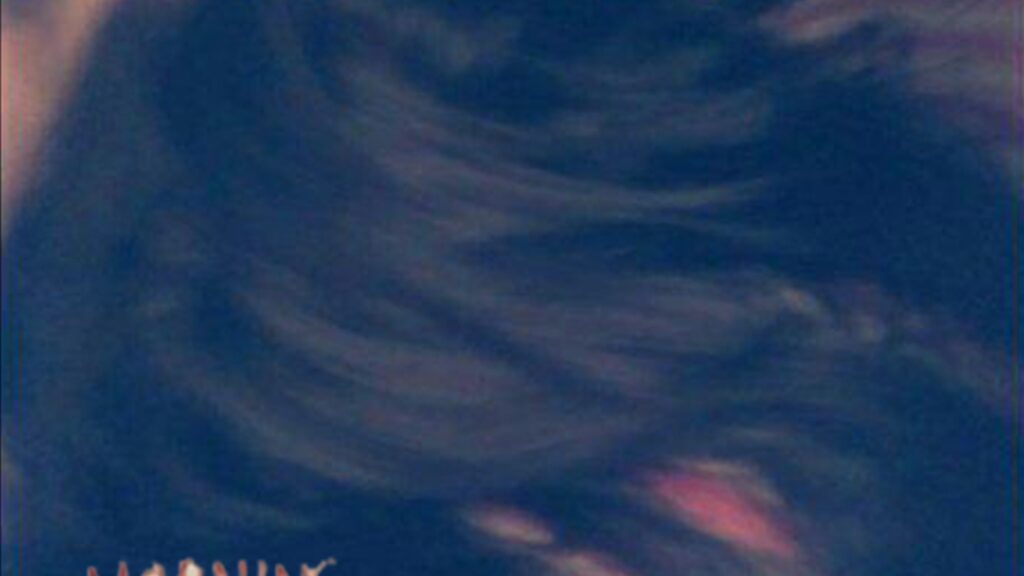 Six Years of Hide and Seek: A Personal Retrospective on ‘Is This Biodegradable’