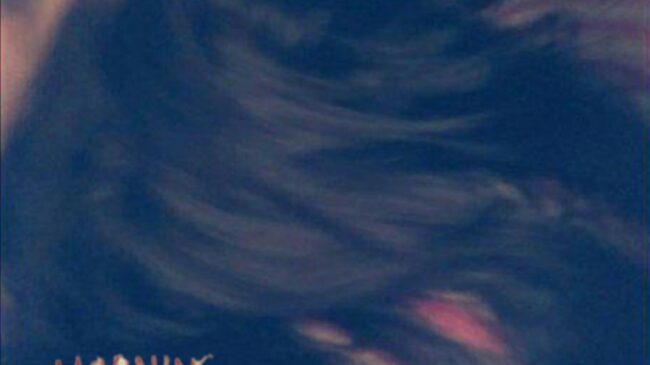 Six Years of Hide and Seek: A Personal Retrospective on ‘Is This Biodegradable’