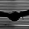 Setting Up Your Music Business: Registration Essentials