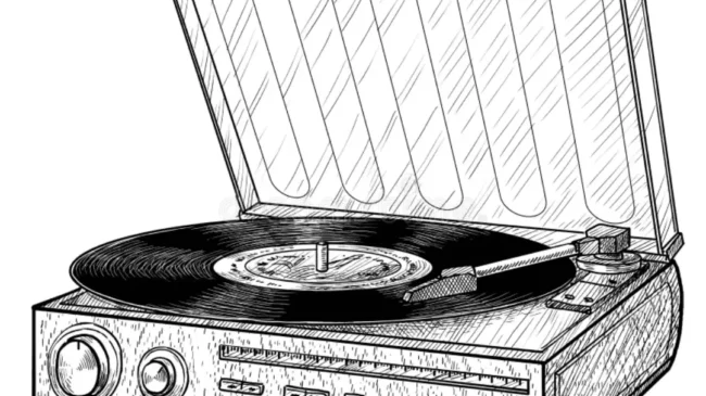 Why Vinyl Collectors in India Are Finding Community and Curating Culture