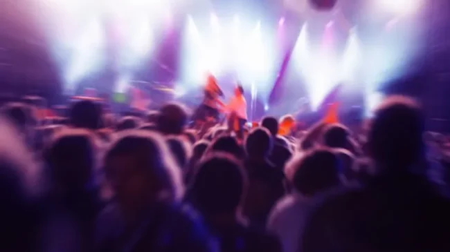 14 Moments Every True Fan Has Experienced at a Concert
