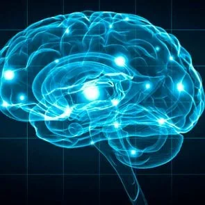 The Colour Of Music aka Synesthesia: Inside the Minds That See Sound 23 01 brain Secrets Your Brain Wishes You Knew 294471983 ESB Professional FT The Colour Of Music aka Synesthesia: Inside the Minds That See Sound
