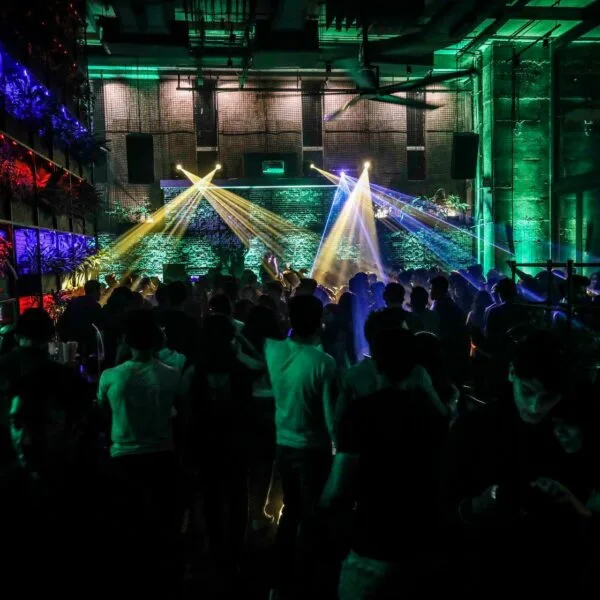 social offline Are We Turning Concerts Into a Fandom Entrance Exam and Killing the Vibe?