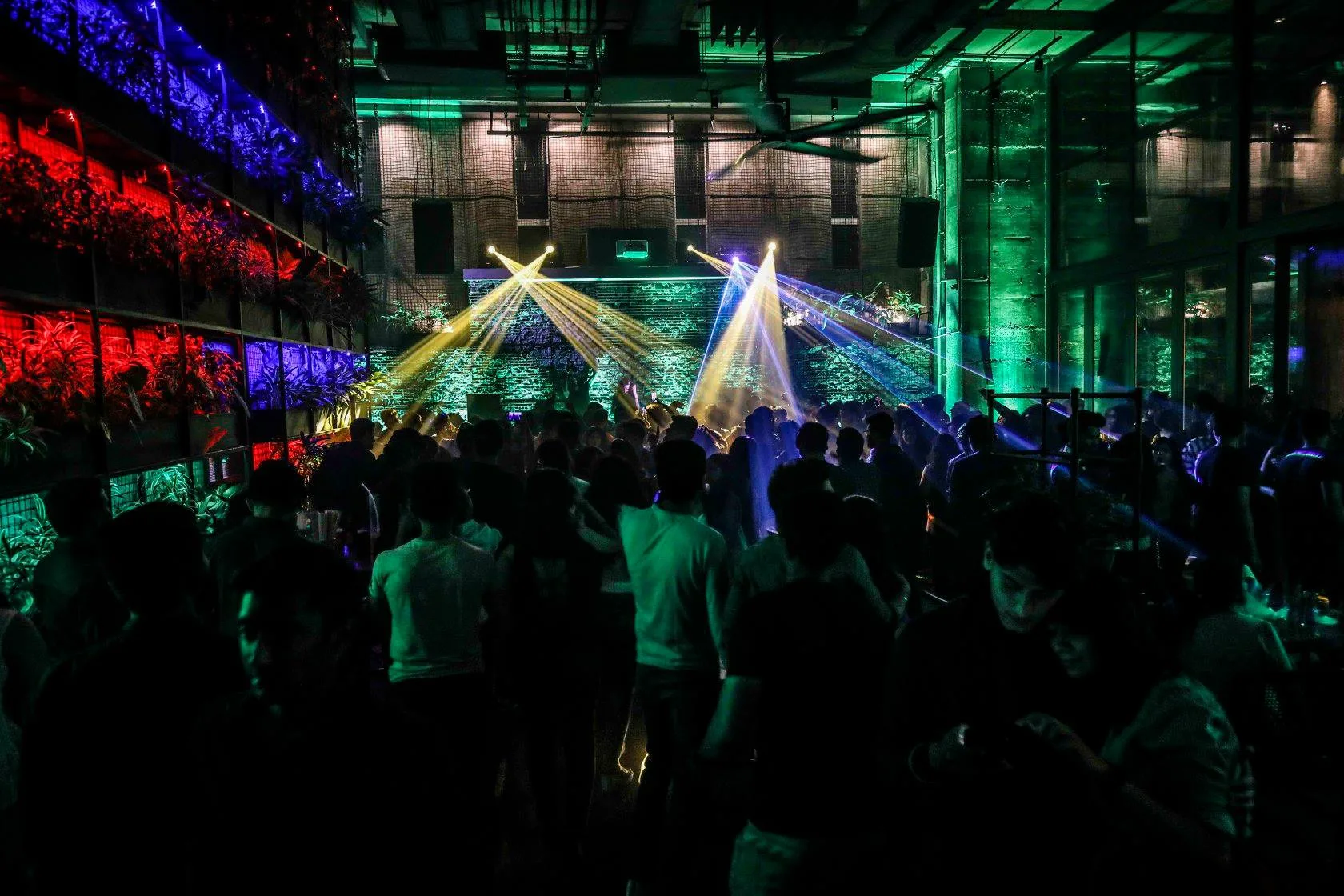 social offline Are We Turning Concerts Into a Fandom Entrance Exam and Killing the Vibe?